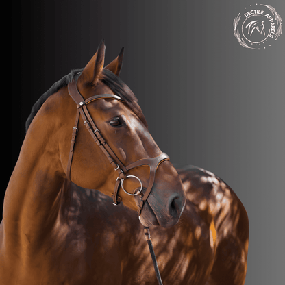 Horse Hunter Jumper Halter 1