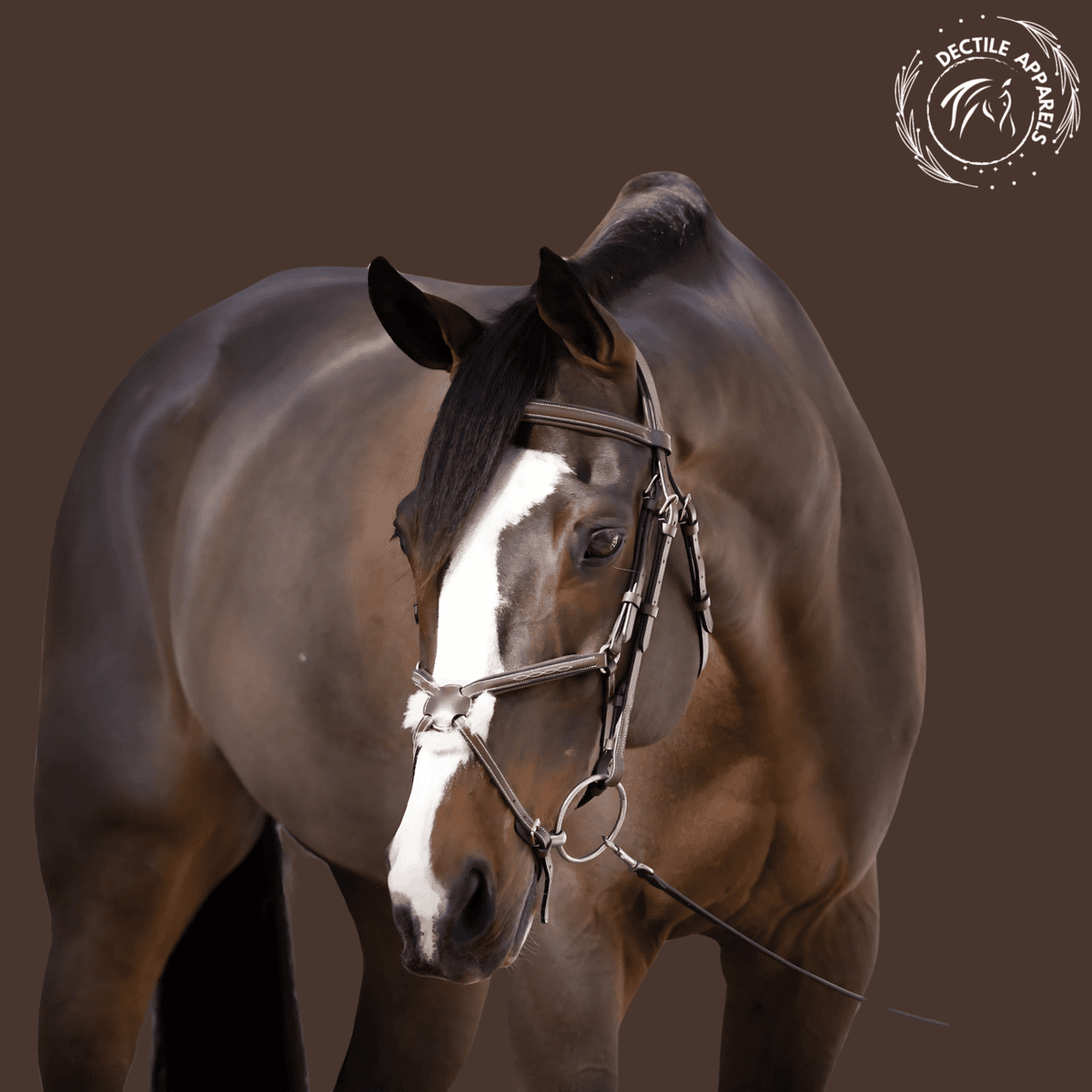 Elite Heritage Brown Leather Bridle