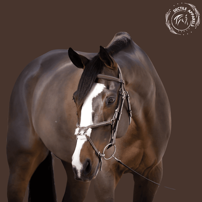 Elite Heritage Brown Leather Bridle