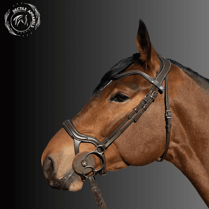 Noble Stride Elite Bridle