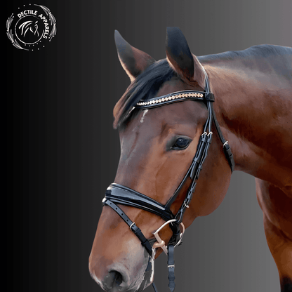 Carolina Black Patent Snaffle Conical Bridle