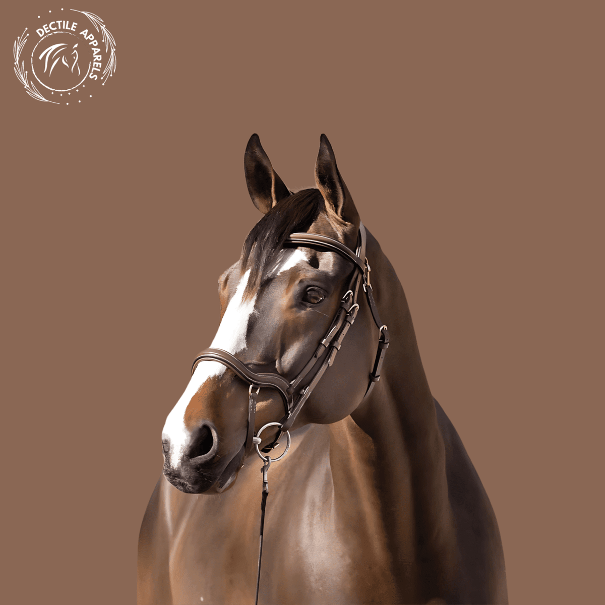 Regal Comfort Anatomical Bridle