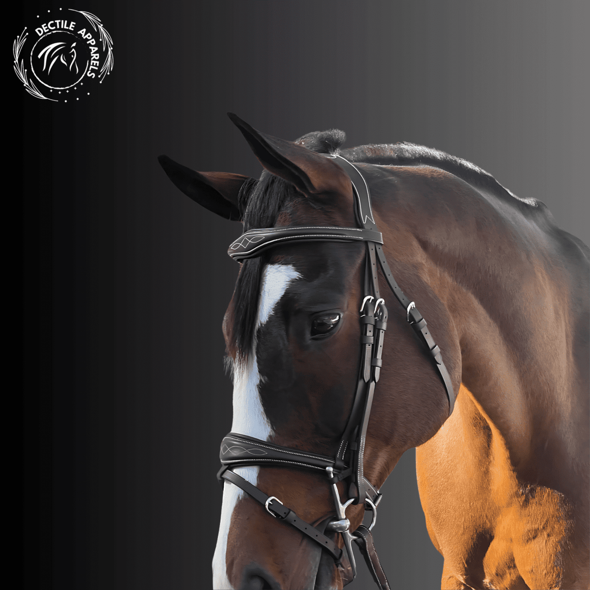 Prestige Black Leather Horse Bridle