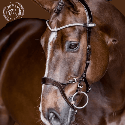 Regal Elegance Nirak Bridle