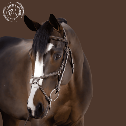 Elite Heritage Brown Leather Bridle