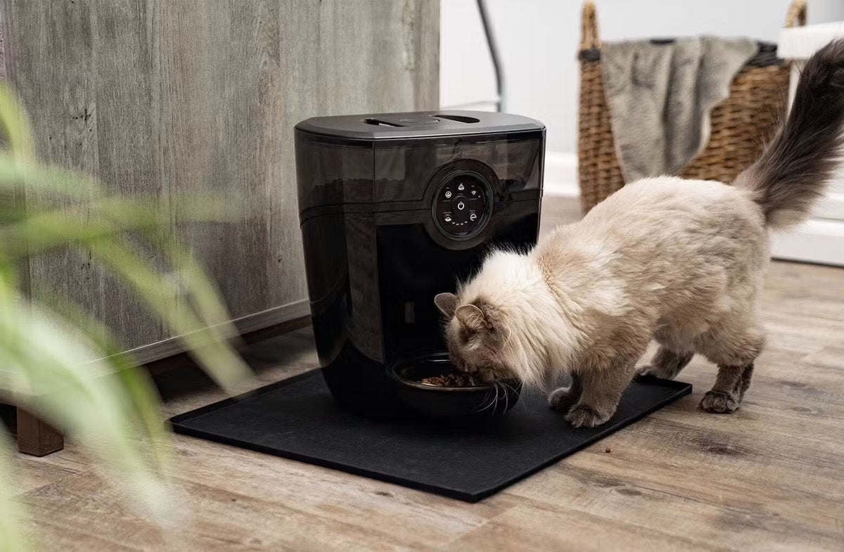 Smart Automatic Pet Feeder with App Control & Portion Scheduling